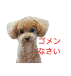 須納瀬専用スタンプ（個別スタンプ：4）