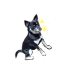 愛犬パク 黒い犬（個別スタンプ：5）