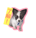 アポロのスタンプ（個別スタンプ：12）
