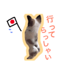 アポロのスタンプ（個別スタンプ：14）