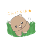 ウォンバット日常使いスタンプ（個別スタンプ：2）