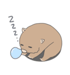ウォンバット日常使いスタンプ（個別スタンプ：4）