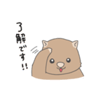 ウォンバット日常使いスタンプ（個別スタンプ：7）