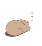 ウォンバット日常使いスタンプ（個別スタンプ：23）