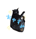 くろとはな（個別スタンプ：1）