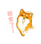 Lovely Shiba Daily（個別スタンプ：4）