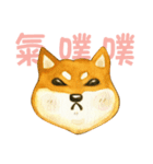 Lovely Shiba Daily（個別スタンプ：6）