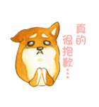 Lovely Shiba Daily（個別スタンプ：10）