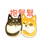 Lovely Shiba Daily（個別スタンプ：14）