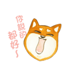 Lovely Shiba Daily（個別スタンプ：18）