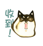 Lovely Shiba Daily（個別スタンプ：19）