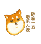 Lovely Shiba Daily（個別スタンプ：20）