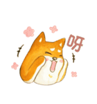 Lovely Shiba Daily（個別スタンプ：22）