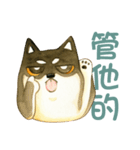 Lovely Shiba Daily（個別スタンプ：38）