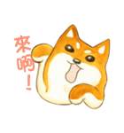 Lovely Shiba Daily（個別スタンプ：39）