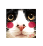 鼻ポチ猫 テト（個別スタンプ：2）
