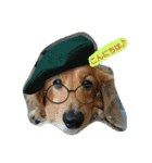 愛犬の日（個別スタンプ：3）