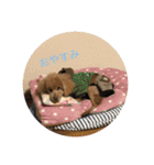 ぱるころいぐ（個別スタンプ：2）