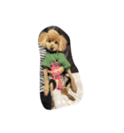 ぱるころいぐ（個別スタンプ：22）