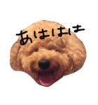 nanoaru（個別スタンプ：5）