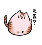 まんまる猫のまんまちゃん（個別スタンプ：10）