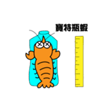 Shrimpy Life（個別スタンプ：7）