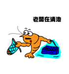 Shrimpy Life（個別スタンプ：12）