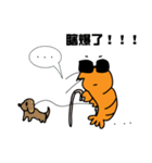 Shrimpy Life（個別スタンプ：15）