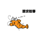 Shrimpy Life（個別スタンプ：25）