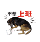 Baby loves murmur（個別スタンプ：6）