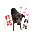 Baby loves murmur（個別スタンプ：8）