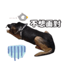 Baby loves murmur（個別スタンプ：10）