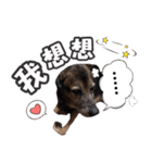 Baby loves murmur（個別スタンプ：11）