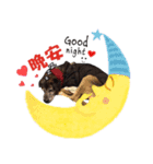 Baby loves murmur（個別スタンプ：12）