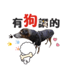 Baby loves murmur（個別スタンプ：13）