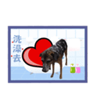 Baby loves murmur（個別スタンプ：14）
