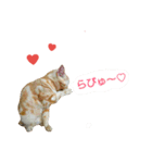 猫のあんずです(LOVE♡らぶ編)（個別スタンプ：3）