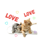 猫のあんずです(LOVE♡らぶ編)（個別スタンプ：4）