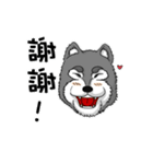 Rou ＆ Syuan（個別スタンプ：31）