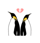 Love×Love エンペラーペンギン スタンプ（個別スタンプ：4）