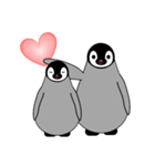 Love×Love エンペラーペンギン スタンプ（個別スタンプ：24）
