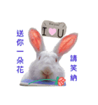 Biofamily fall in love（個別スタンプ：4）