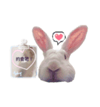 Biofamily fall in love（個別スタンプ：7）