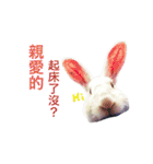 Biofamily fall in love（個別スタンプ：9）
