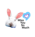 Biofamily fall in love（個別スタンプ：10）
