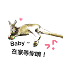Biofamily fall in love（個別スタンプ：14）