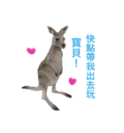 Biofamily fall in love（個別スタンプ：17）