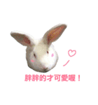 Biofamily fall in love（個別スタンプ：20）