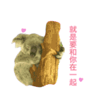 Biofamily fall in love（個別スタンプ：24）