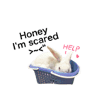 Biofamily fall in love（個別スタンプ：26）